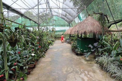 Orchid Park-2